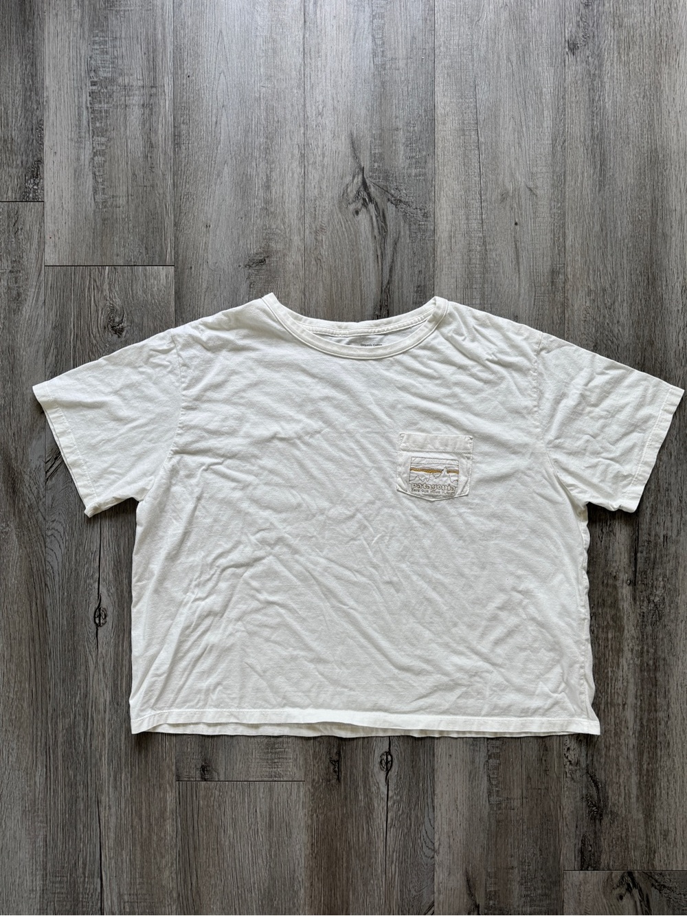 Patagonia pocket t-shirt